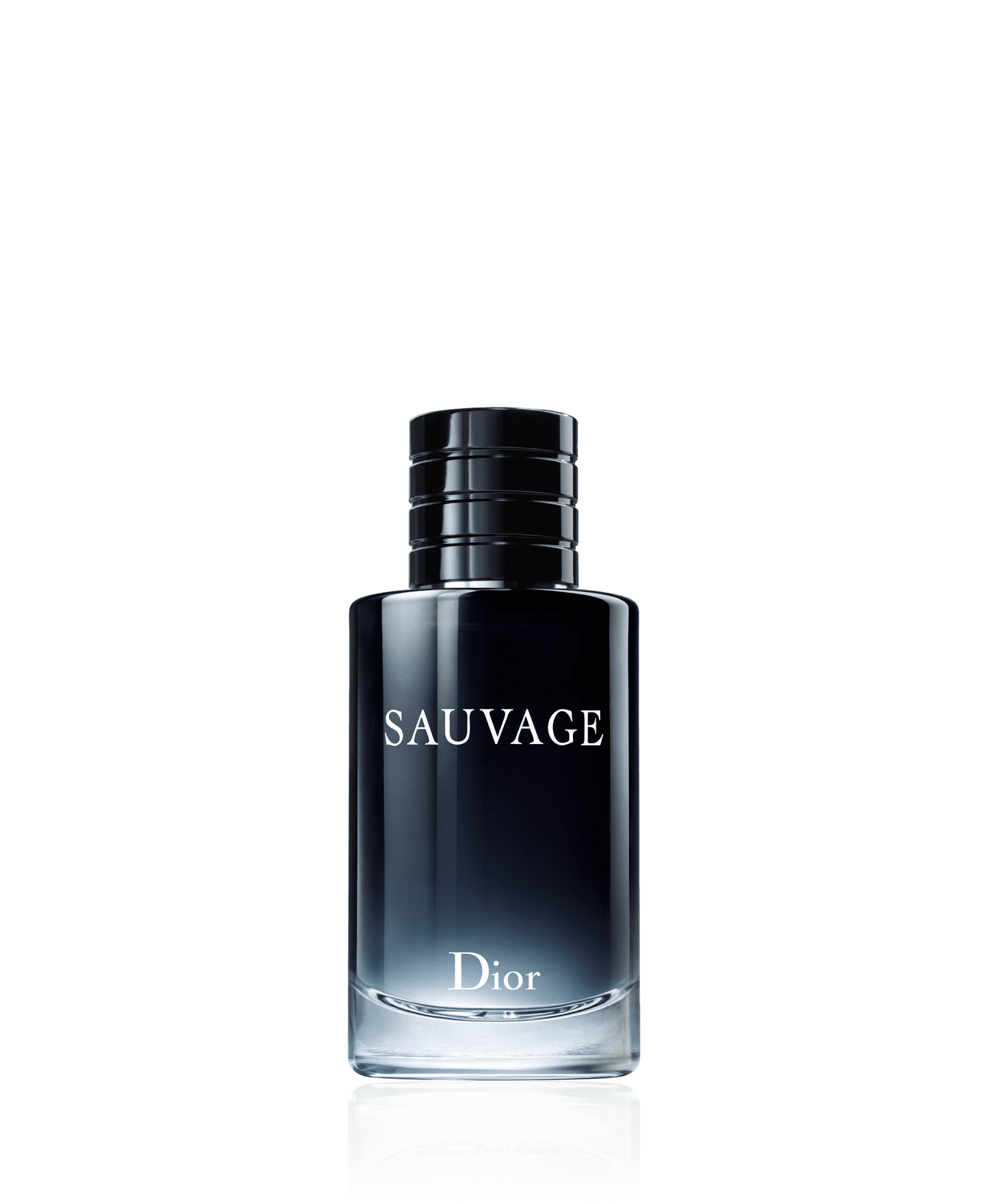 Sauvage - Dior (Eau de parfum 100ml)
